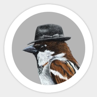 Italian sparrow Sticker